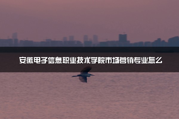 安徽电子信息职业技术学院市场营销专业怎么样 录取分数线多少