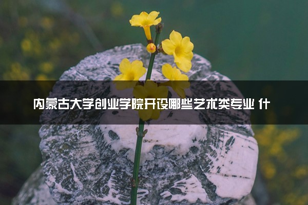 内蒙古大学创业学院开设哪些艺术类专业 什么专业前景好