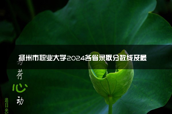 扬州市职业大学2024各省录取分数线及最低位次是多少