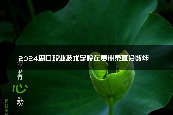 2024周口职业技术学院在贵州录取分数线 各专业分数及位次
