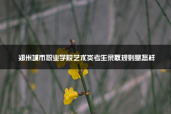郑州城市职业学院艺术类考生录取规则是怎样的 有哪些要求