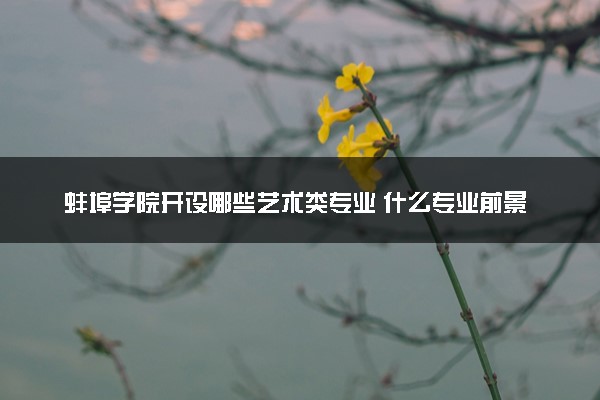蚌埠学院开设哪些艺术类专业 什么专业前景好