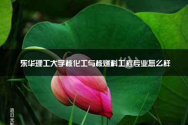 东华理工大学核化工与核燃料工程专业怎么样 录取分数线多少