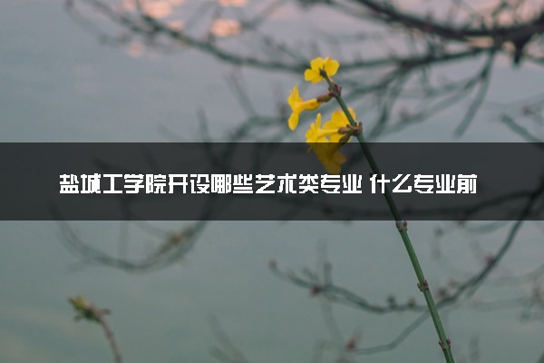 盐城工学院开设哪些艺术类专业 什么专业前景好