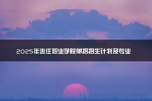 2025年枣庄职业学院单招招生计划及专业