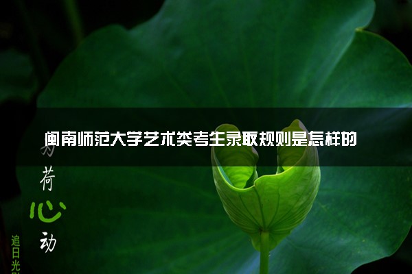 闽南师范大学艺术类考生录取规则是怎样的 有哪些要求