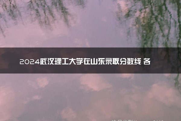 2024武汉理工大学在山东录取分数线 各专业分数及位次