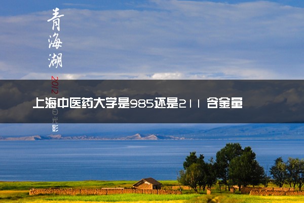 上海中医药大学是985还是211 含金量怎么样