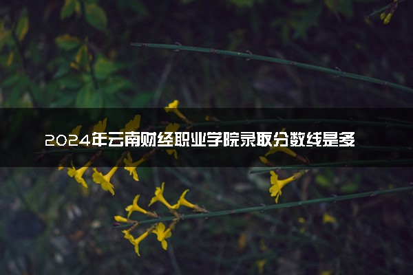2024年云南财经职业学院录取分数线是多少 各省最低分数线及位次