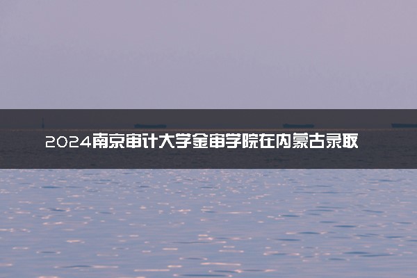 2024南京审计大学金审学院在内蒙古录取分数线 各专业分数及位次