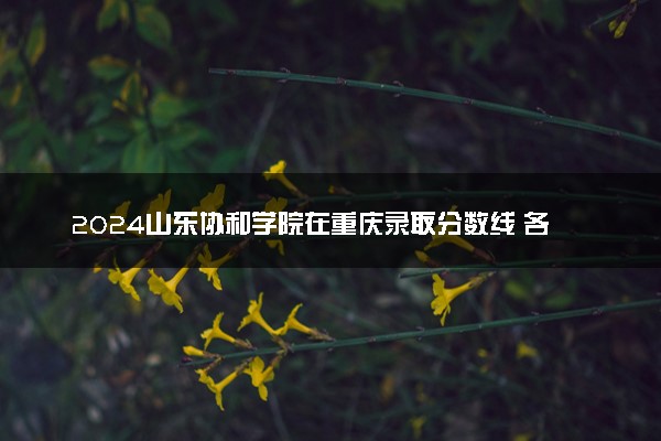 2024山东协和学院在重庆录取分数线 各专业分数及位次