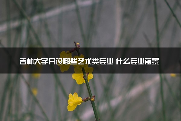 吉林大学开设哪些艺术类专业 什么专业前景好