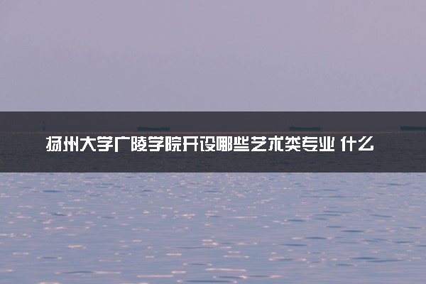 扬州大学广陵学院开设哪些艺术类专业 什么专业前景好