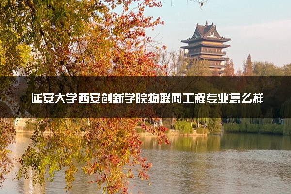 延安大学西安创新学院物联网工程专业怎么样 录取分数线多少