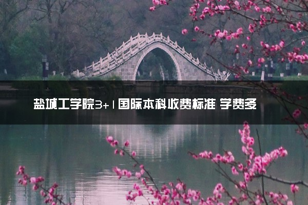 盐城工学院3+1国际本科收费标准 学费多少钱