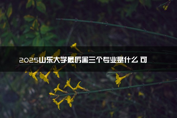 2025山东大学最厉害三个专业是什么 可以报考哪些好专业
