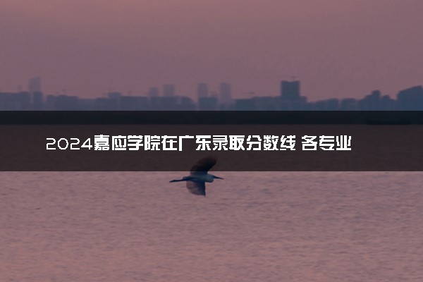 2024嘉应学院在广东录取分数线 各专业分数及位次