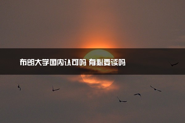 布朗大学国内认可吗 有必要读吗