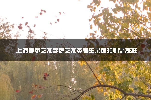上海视觉艺术学院艺术类考生录取规则是怎样的 有哪些要求