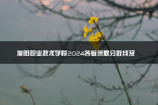 濮阳职业技术学院2024各省录取分数线及最低位次是多少