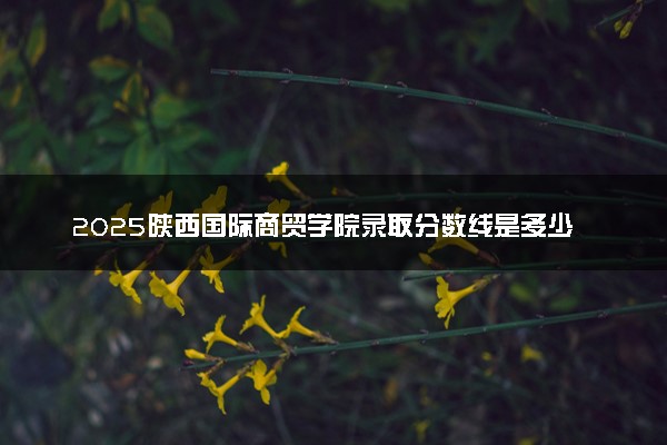 2025陕西国际商贸学院录取分数线是多少 各省最低分数线汇总