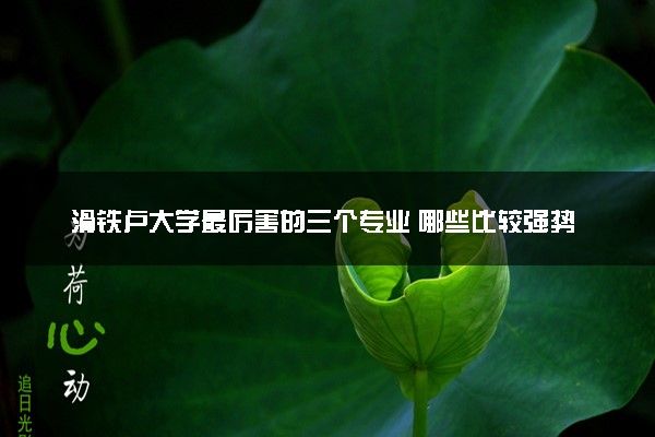 滑铁卢大学最厉害的三个专业 哪些比较强势