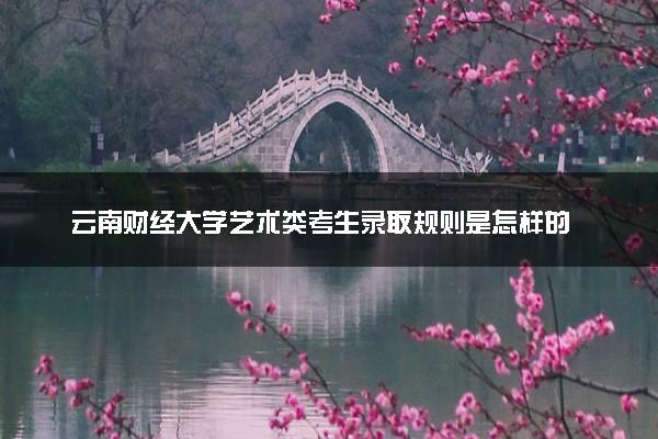 云南财经大学艺术类考生录取规则是怎样的 有哪些要求