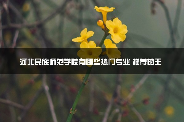 河北民族师范学院有哪些热门专业 推荐的王牌专业