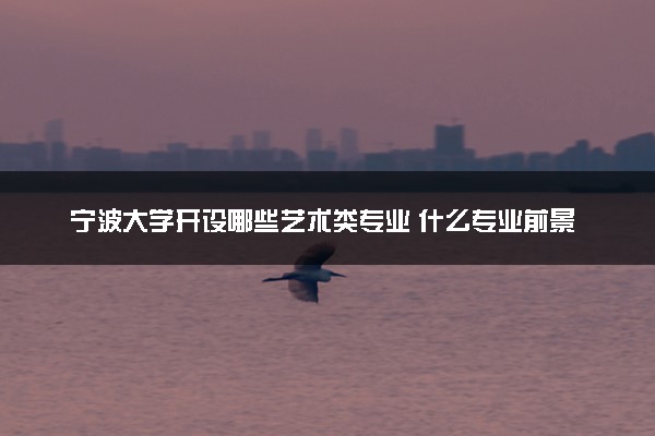 宁波大学开设哪些艺术类专业 什么专业前景好