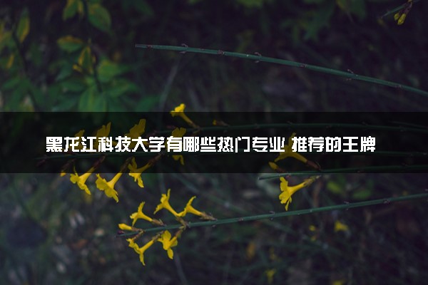 黑龙江科技大学有哪些热门专业 推荐的王牌专业
