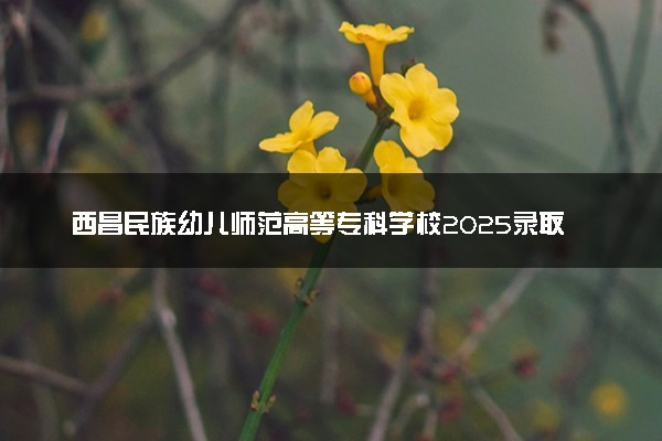 西昌民族幼儿师范高等专科学校2025录取分数线整理 最低多少分可以考上