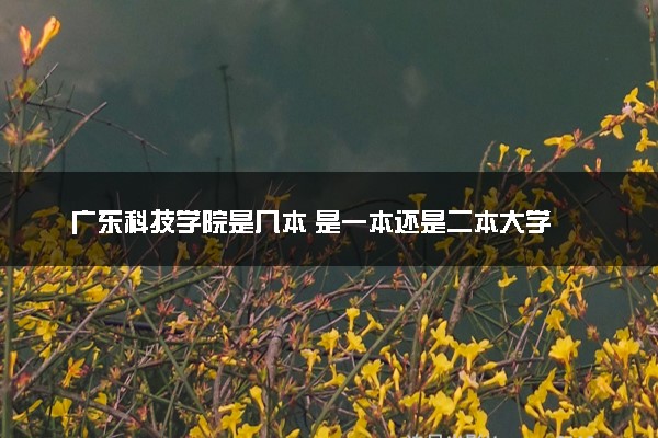 广东科技学院是几本 是一本还是二本大学