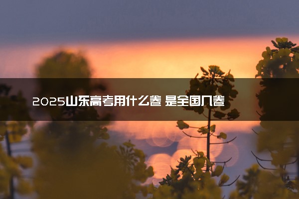 2025山东高考用什么卷 是全国几卷