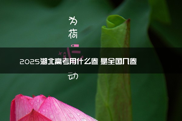2025湖北高考用什么卷 是全国几卷