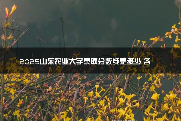 2025山东农业大学录取分数线是多少 各省最低分数线汇总