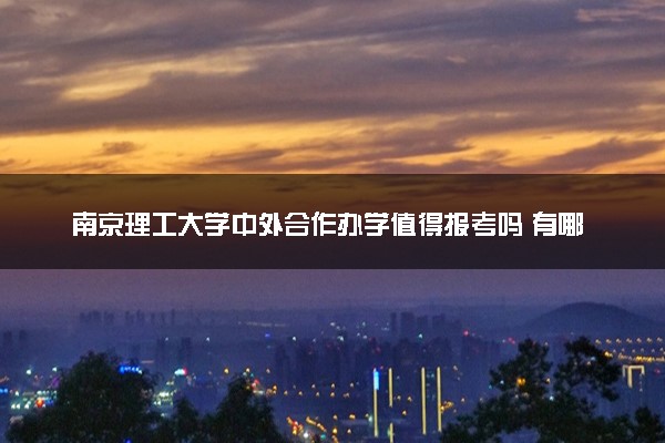 南京理工大学中外合作办学值得报考吗 有哪些优势