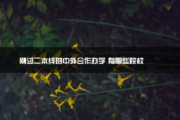刚过二本线的中外合作办学 有哪些院校