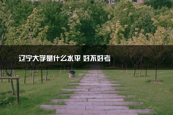 辽宁大学是什么水平 好不好考