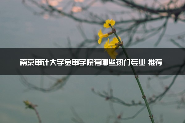 南京审计大学金审学院有哪些热门专业 推荐的王牌专业