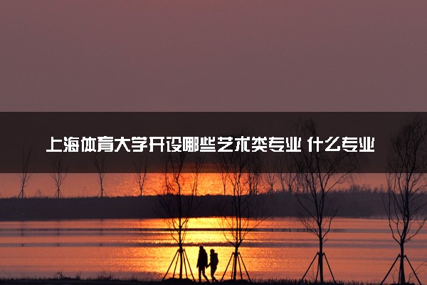 上海体育大学开设哪些艺术类专业 什么专业前景好
