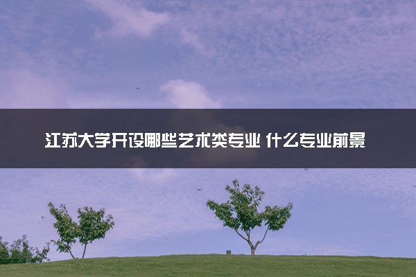 江苏大学开设哪些艺术类专业 什么专业前景好