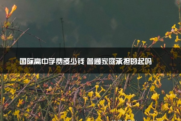 国际高中学费多少钱 普通家庭承担的起吗