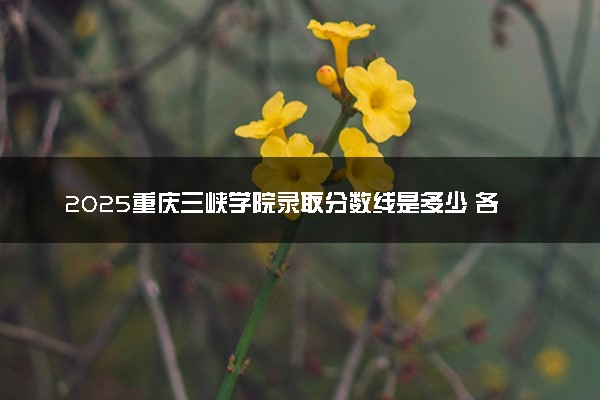 2025重庆三峡学院录取分数线是多少 各省最低分数线汇总