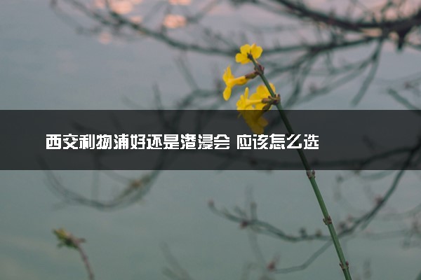 西交利物浦好还是港浸会 应该怎么选