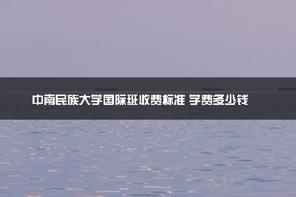 中南民族大学国际班收费标准 学费多少钱