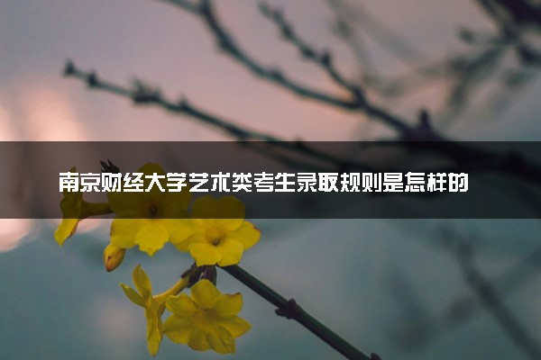 南京财经大学艺术类考生录取规则是怎样的 有哪些要求