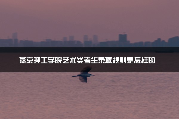 燕京理工学院艺术类考生录取规则是怎样的 有哪些要求