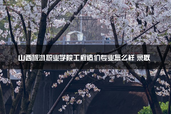 山西旅游职业学院工程造价专业怎么样 录取分数线多少
