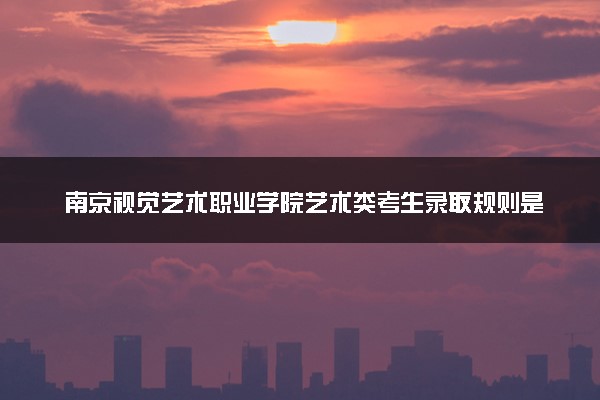 南京视觉艺术职业学院艺术类考生录取规则是怎样的 有哪些要求