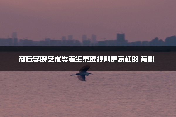 商丘学院艺术类考生录取规则是怎样的 有哪些要求